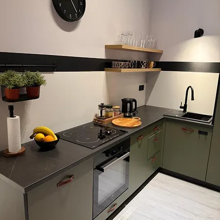 Mieszkanie Stare Miasto-rynek 500 M *