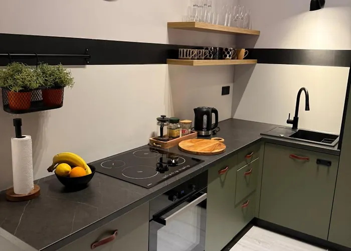 Mieszkanie Stare Miasto-rynek 500 M *